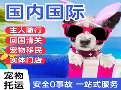 锡林浩特航空运输国际宠物托运 【国